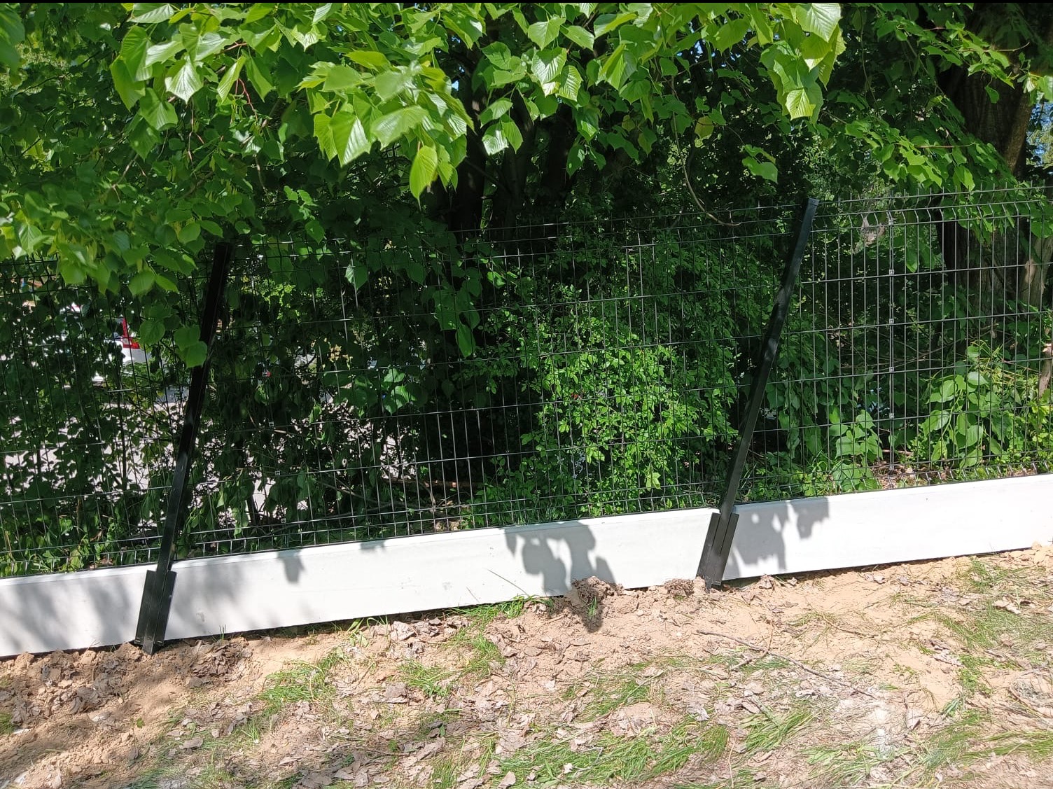 Nowoczesne ogrodzenie panelowe z podmurówką betonową, widoczne na tle zieleni. Słupki w kolorze grafitowym. Widok z poziomu gruntu, oświetlenie dzienne.