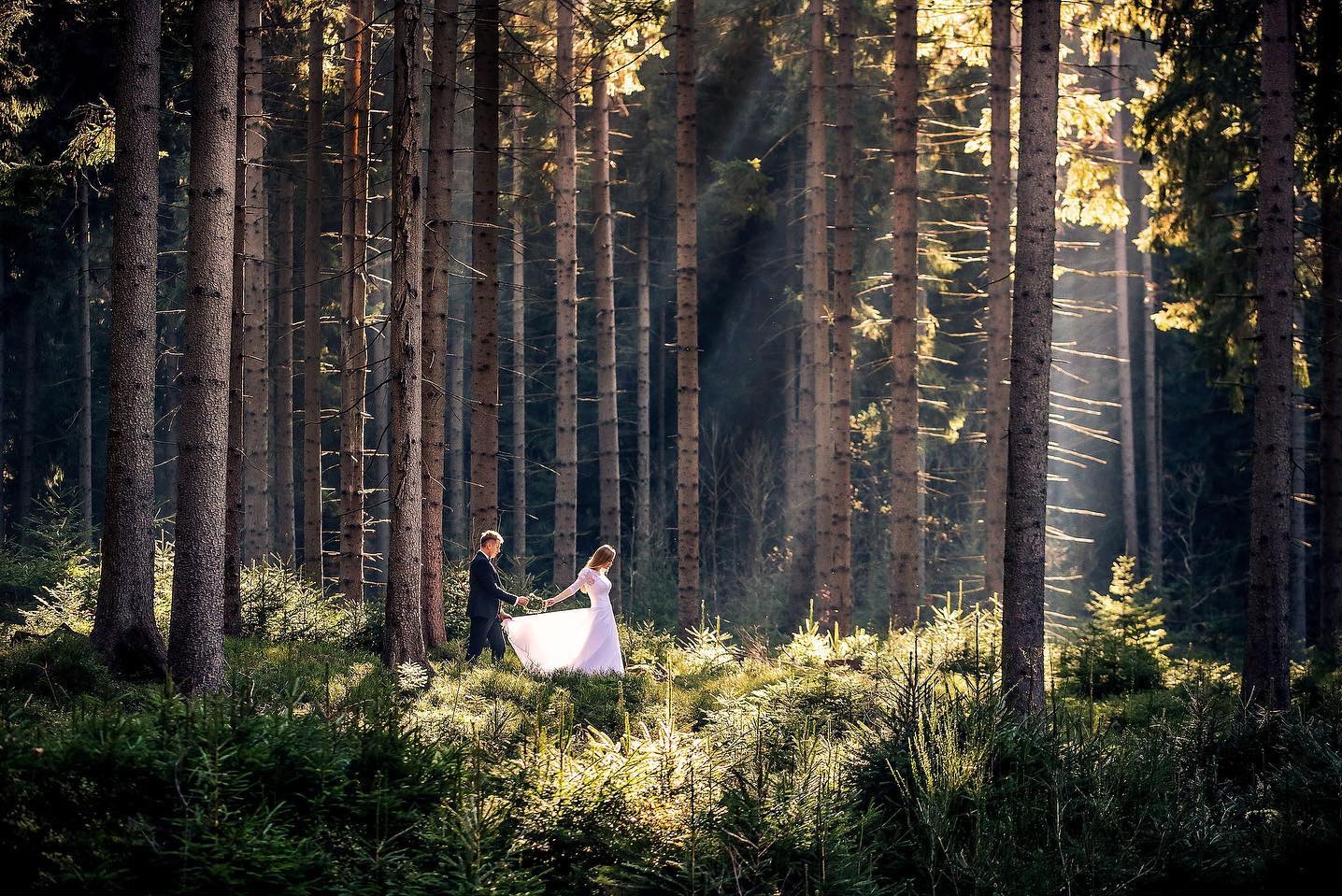 Para młoda trzymająca się za ręce spaceruje przez słoneczny las, wysokie drzewa i zielona roślinność w tle, jasne promienie światła przesączające się przez korony drzew.