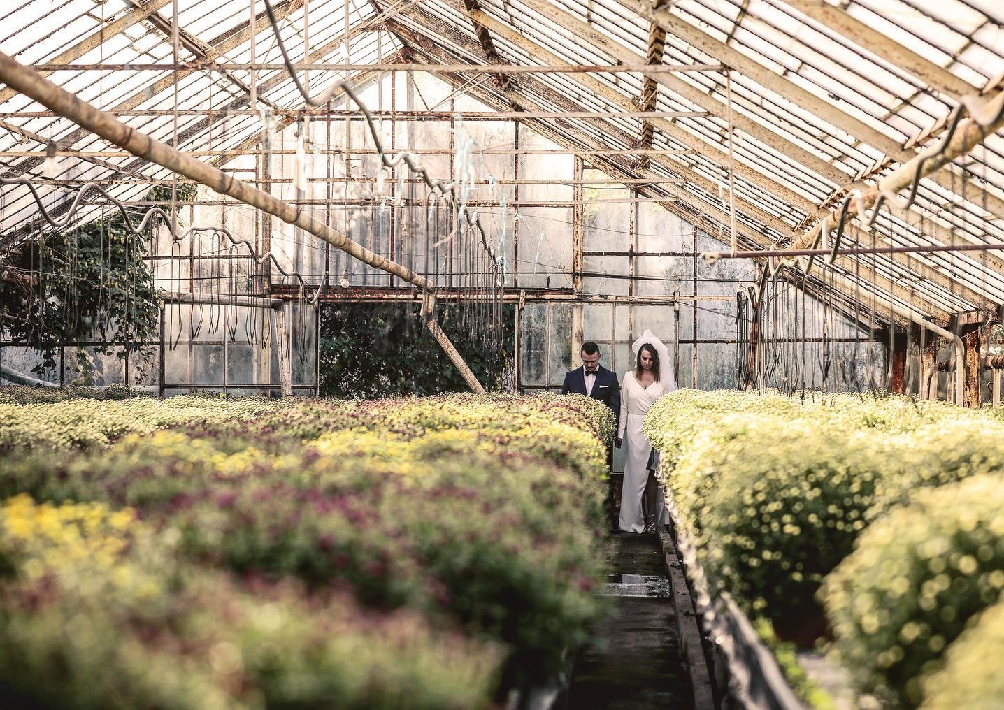 Para młoda w rustykalnej szklarni pełnej kwitnących kwiatów, on w smokingu, ona w prostej sukni ślubnej i welonie, ujęcie z lekkiej perspektywy z widoczną konstrukcją szklarni.