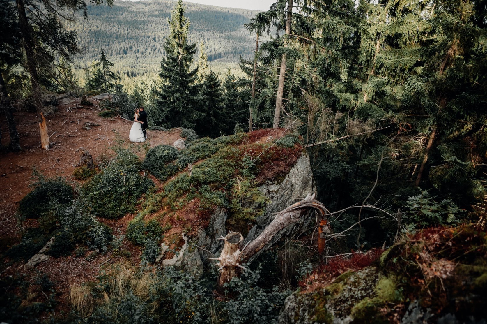 Para młoda w górskim lesie, delikatne światło, naturalne otoczenie, widok z góry, romantyczna sceneria.