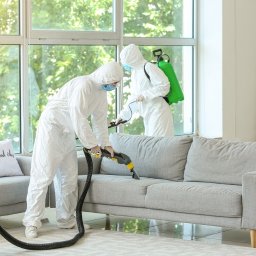 Dezynsekcja i deratyzacja Gdańsk 2