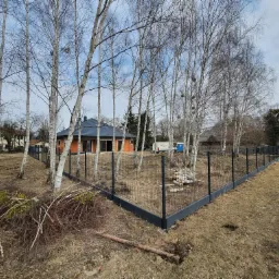 Nowoczesne, czarne ogrodzenie z paneli siatkowych otaczające działkę z młodymi brzozami, widok na dom z pomarańczowej cegły i niebieską dachówką w tle.