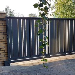 Bramy wjazdowe Lędziny 4