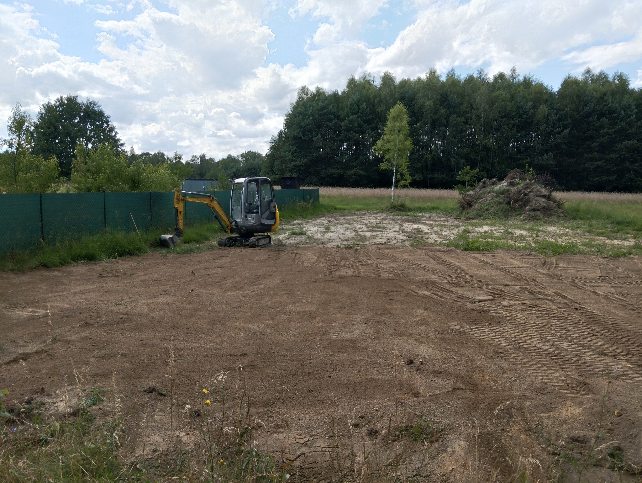 Żółta mini koparka na wyrównanym terenie budowlanym z widocznymi śladami opon, w tle zielony płot, drzewa i biała brzoza.