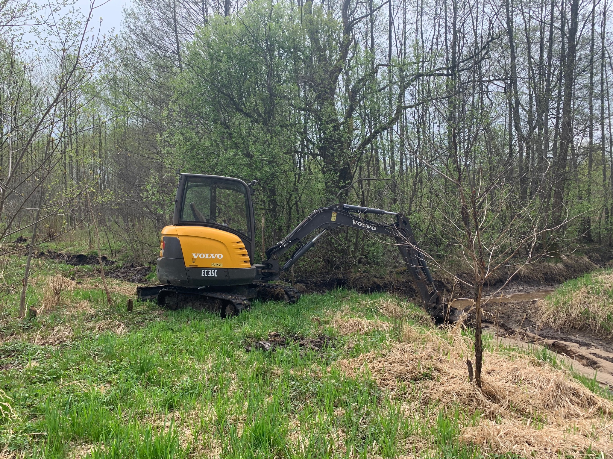 Żółta mini koparka Volvo EC35C w zielonym terenie z drzewami w tle, wykonująca prace ziemne przy cieku wodnym. Widoczne ślady opon.