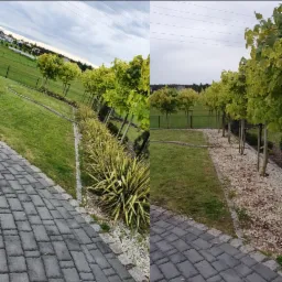 Dwie perspektywy na ścieżkę z kostki brukowej w ogrodzie z rzędem młodych drzew i ozdobnych krzew&oacute;w, oddzielone pionową linią.