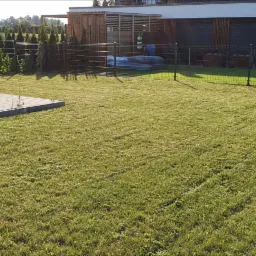 Świeżo skoszony trawnik przed nowoczesnym domem z kostką brukową i ozdobnymi tujami w tle, widoczne ślady po kosiarce.