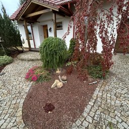 Kamil Popiel - Tania Trawa w Rolce Opole