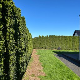 Koszenie trawy Opole 4