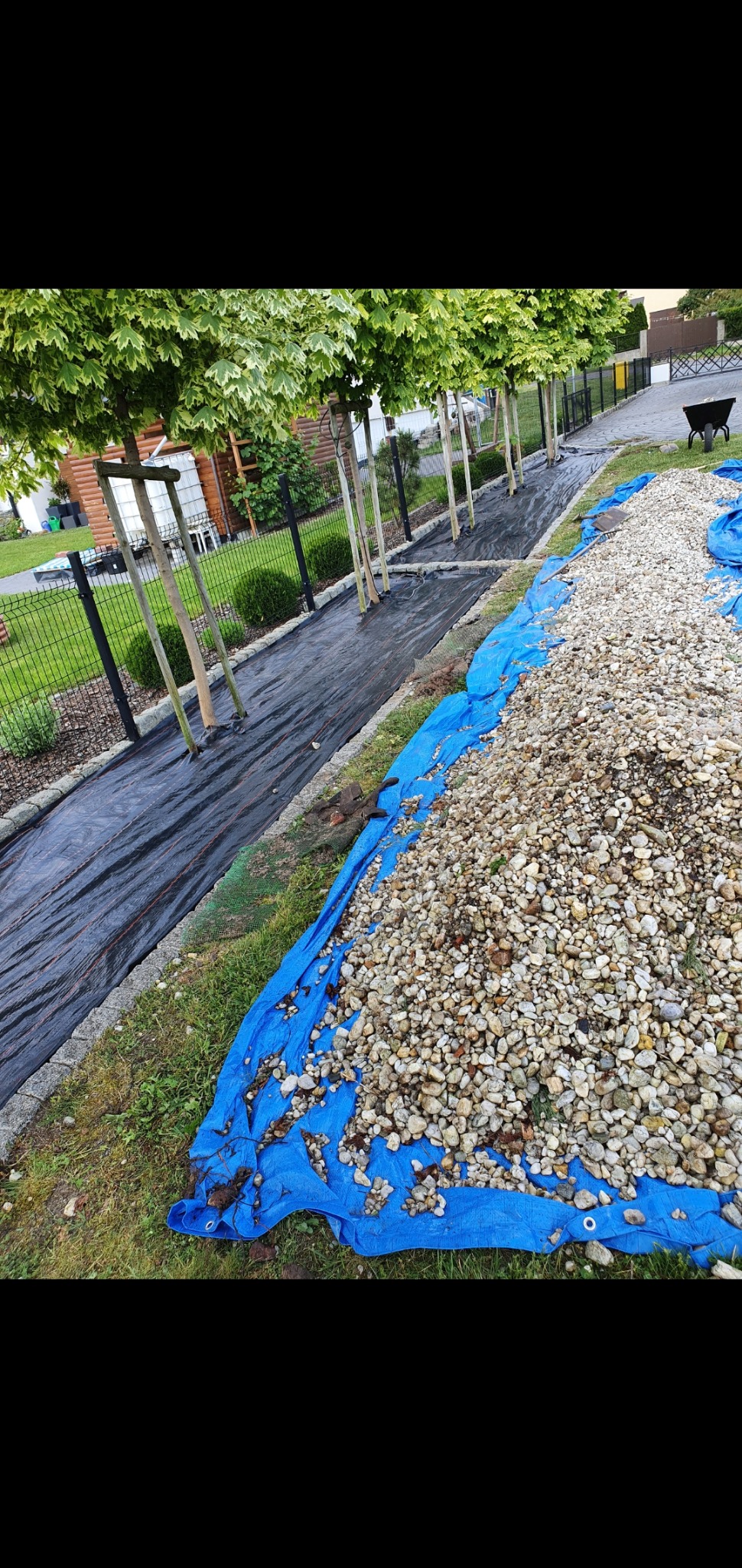 Przygotowanie rabaty pod nasadzenia: czarna agrowłóknina rozłożona wzdłuż rzędu drzew, obok sterta jasnych kamieni na niebieskiej plandece.