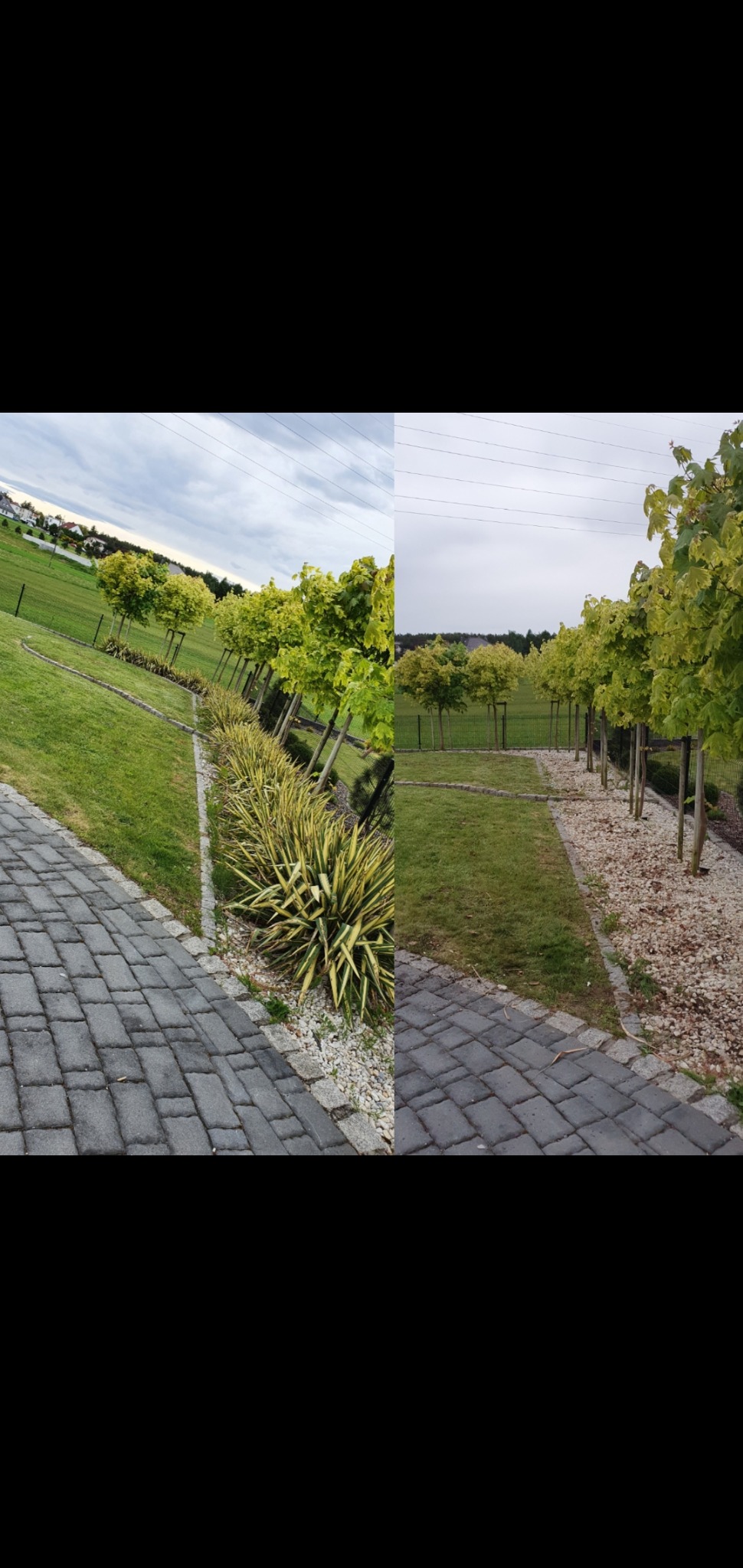 Dwie perspektywy na ścieżkę z kostki brukowej w ogrodzie z rzędem młodych drzew i ozdobnych krzewów, oddzielone pionową linią.