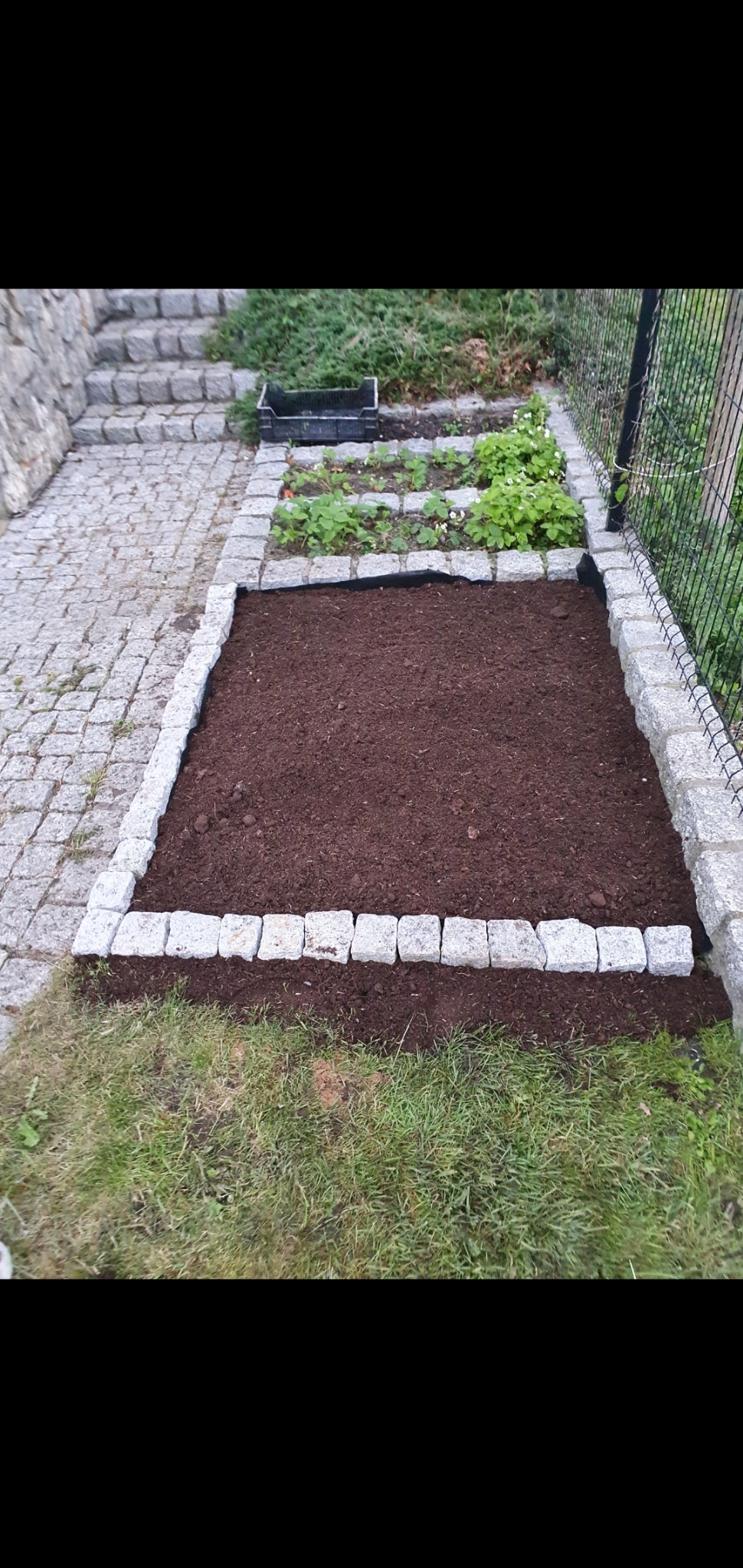 Przygotowany podwyższony kwietnik z obrzeżem z kostki granitowej, wypełniony ciemną ziemią, obok ścieżka z kostki, schody i sadzonki truskawek.