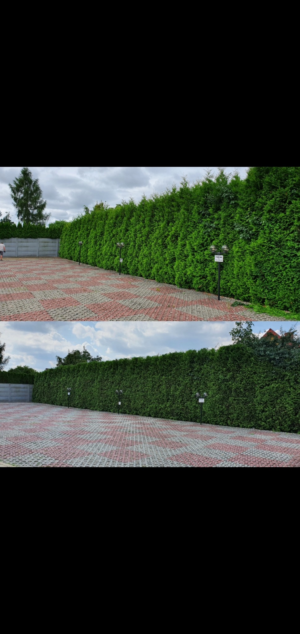 Długa, gęsta ściana z tuj oddzielająca posesję od wybrukowanego parkingu z lampami oświetleniowymi. Kostka brukowa czerwono-szara ułożona we wzór szachownicy.