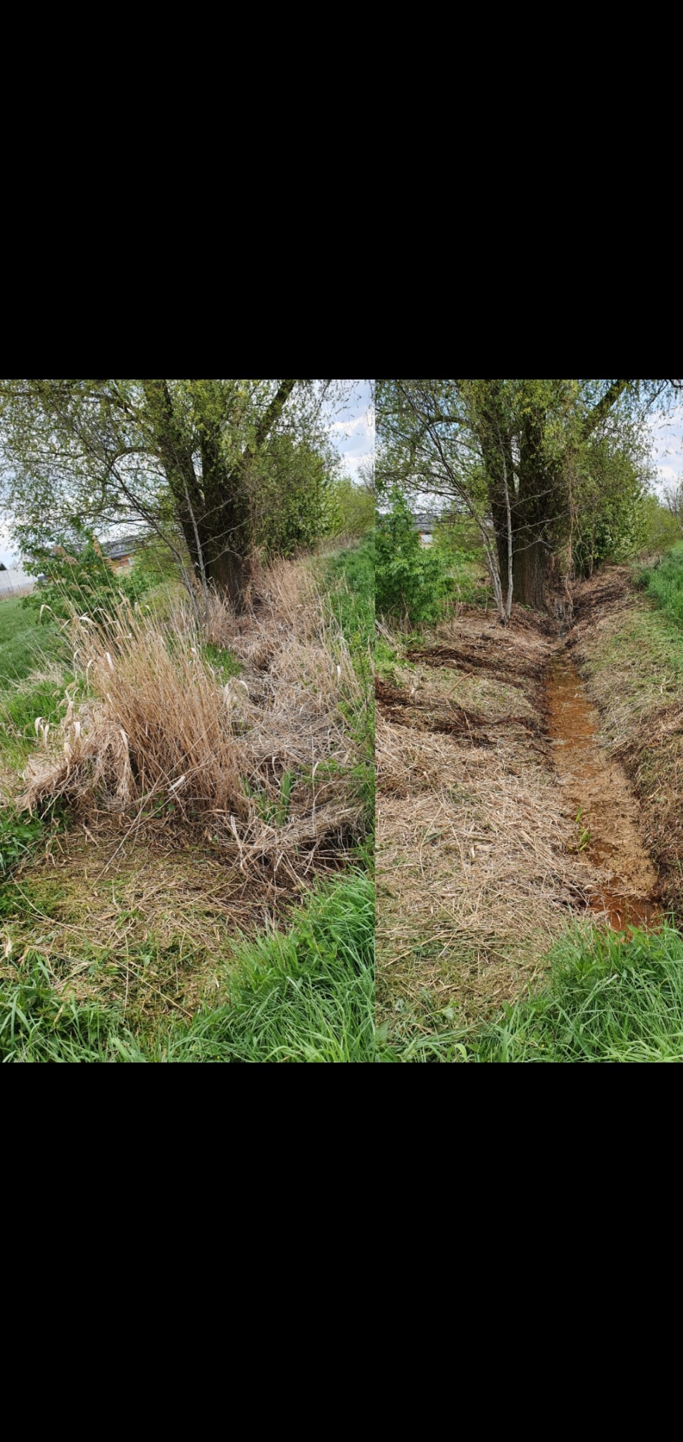 Porównanie stanu rowu melioracyjnego przed i po czyszczeniu, z widoczną różnicą w ilości usuniętej roślinności i odsłoniętej ziemi.