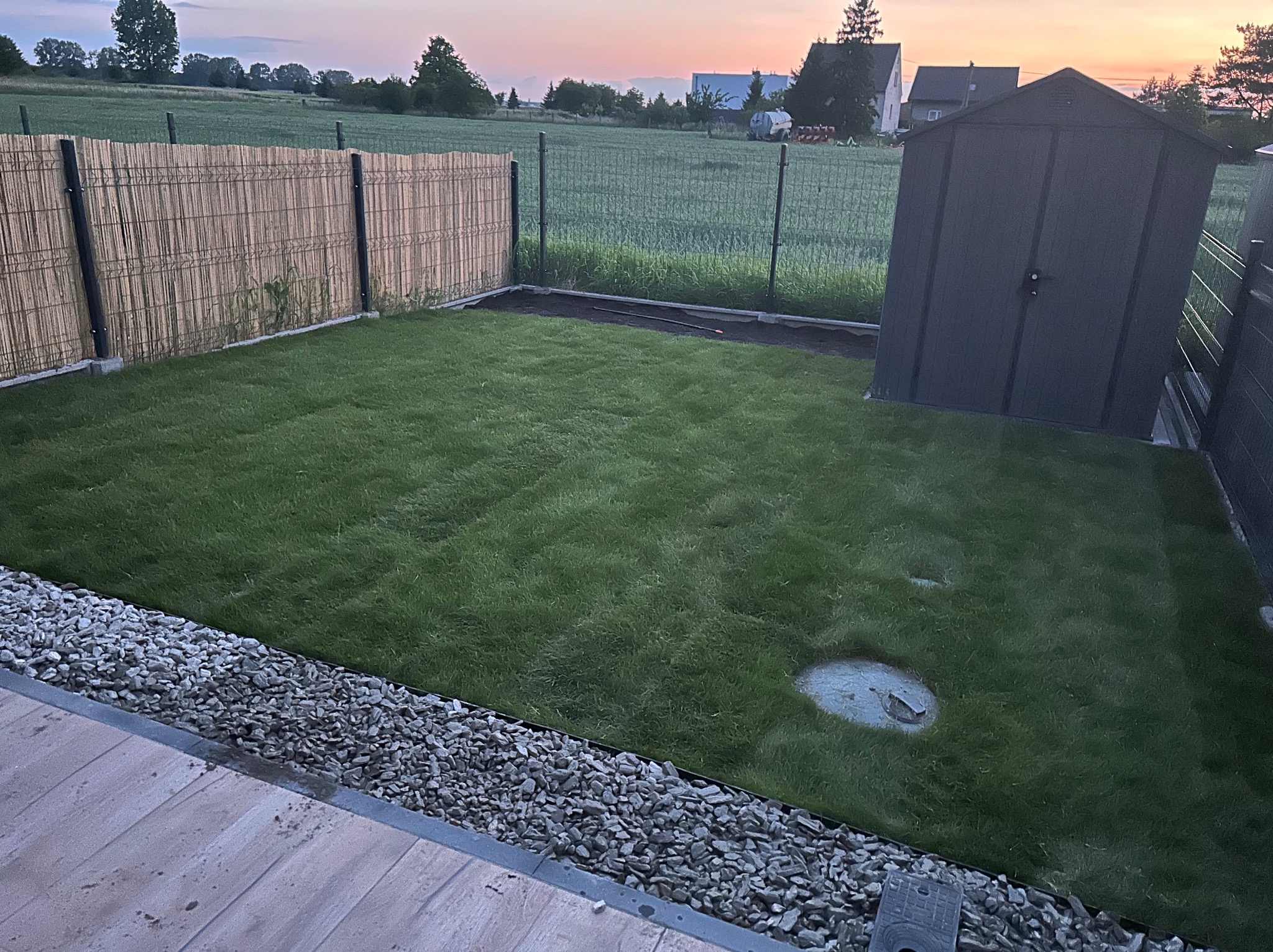 Zadbany trawnik otoczony ogrodzeniem z bambusową osłoną i szarą kostką. W tle widoczny domek narzędziowy i pole uprawne o zmierzchu.