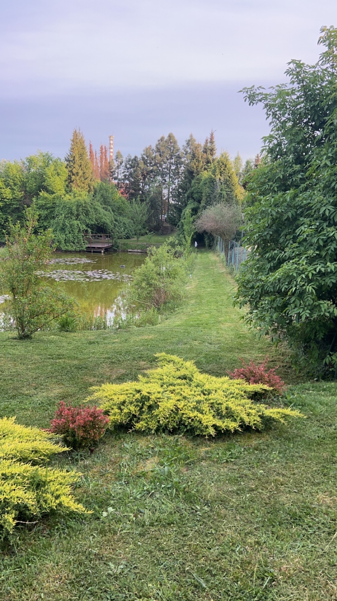 Malowniczy ogród z oczkiem wodnym i drewnianym pomostem, otoczony zielenią, z widocznym trawnikiem i krzewami iglastymi. W tle komin fabryczny i drzewa.