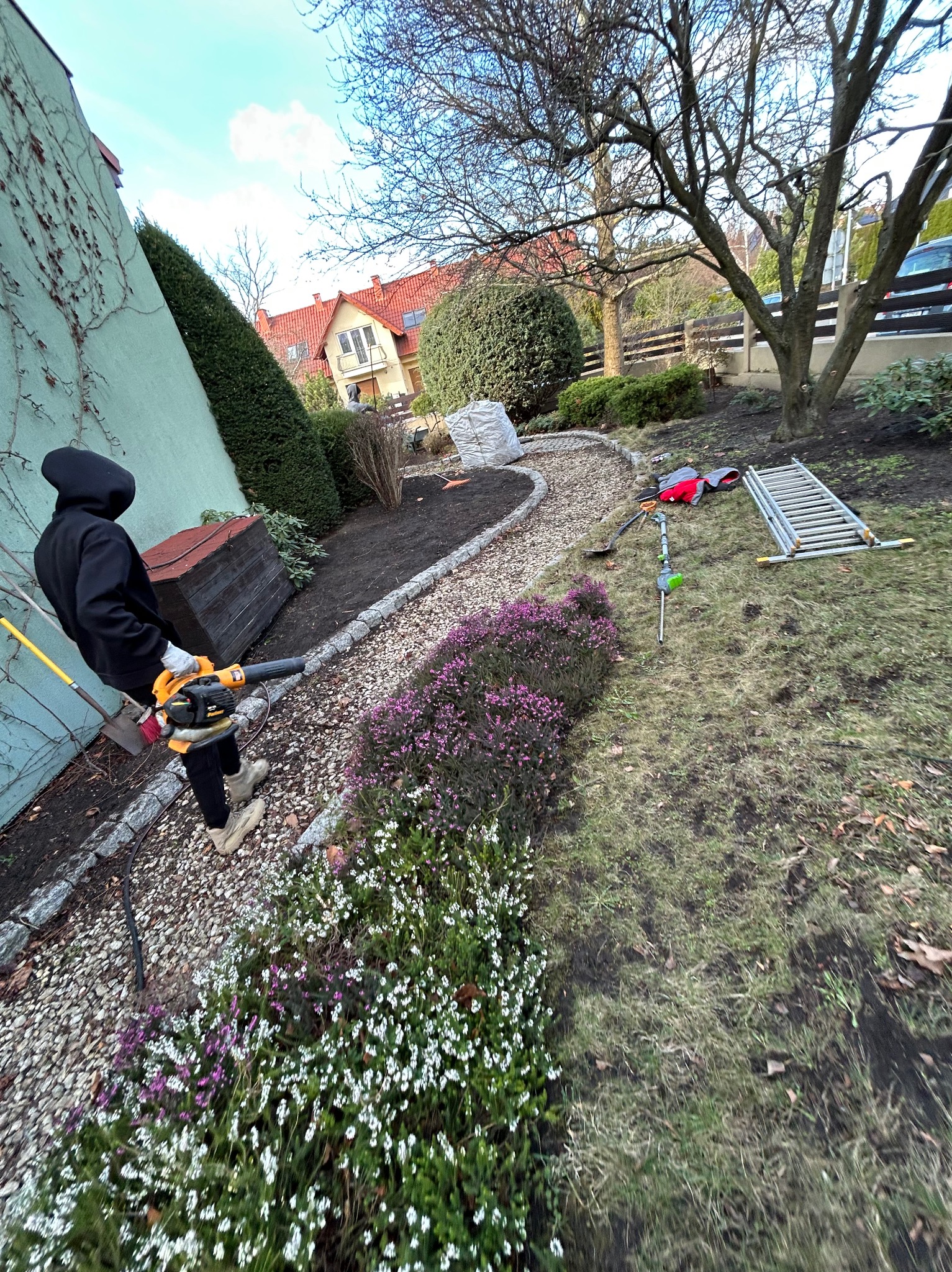 Pracownik w czarnej bluzie używa dmuchawy do liści w ogrodzie z kwitnącymi wrzosami i kamienną ścieżką. Widoczne narzędzia ogrodnicze i drabina.