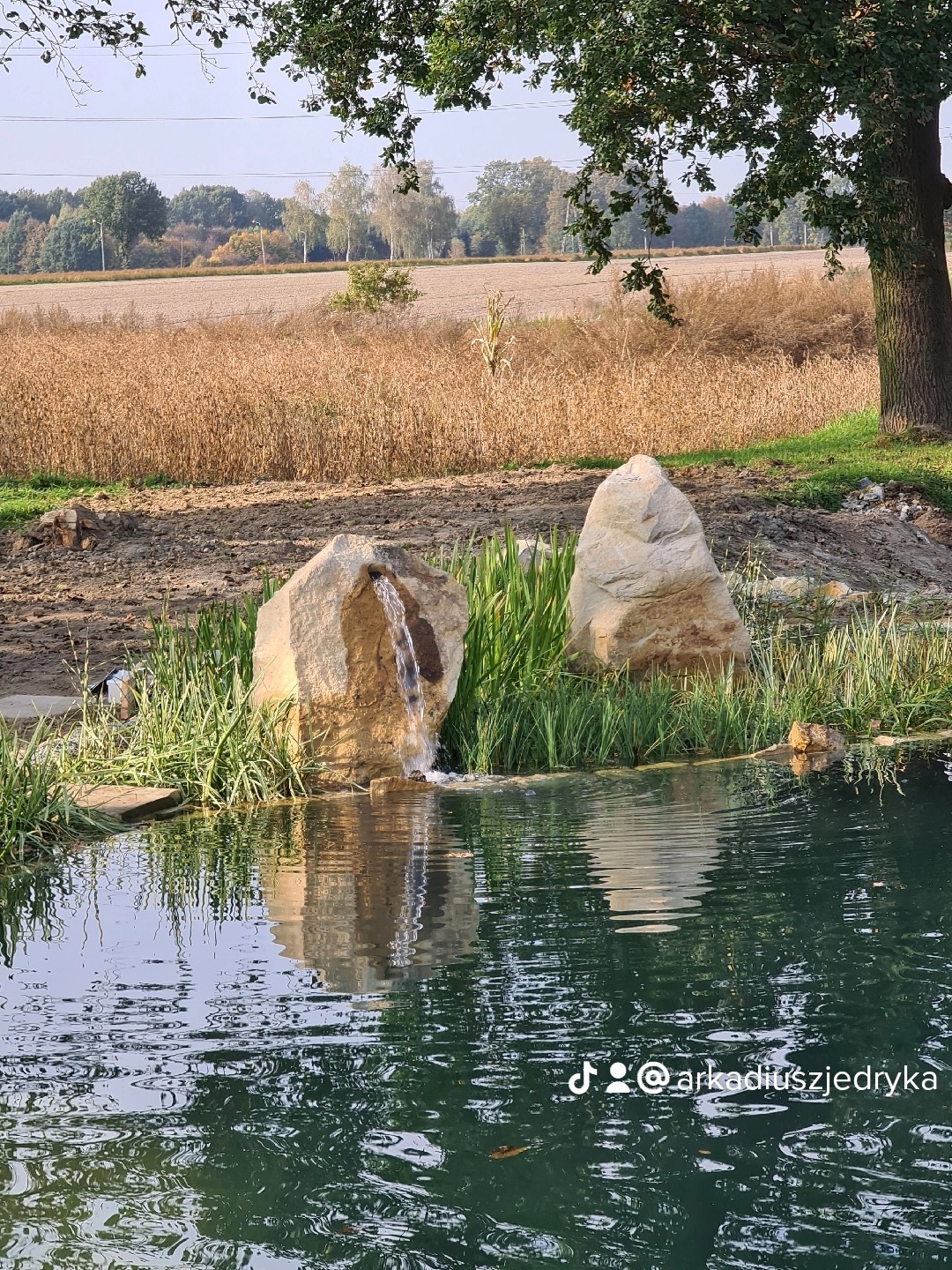 Naturalny zbiornik wodny z dwoma dużymi kamieniami, z jednego wypływa woda, otoczony roślinnością, w tle pole i drzewa.