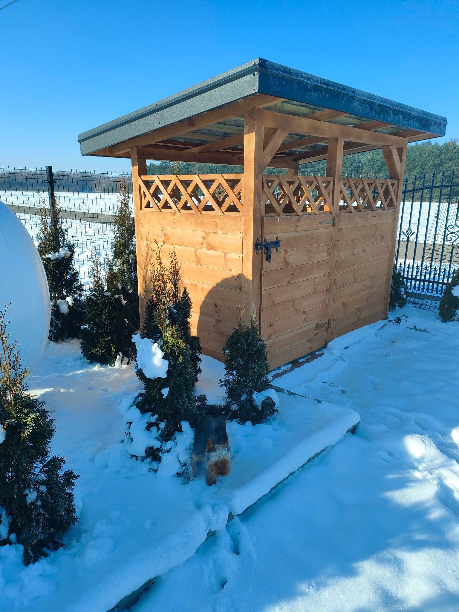 Drewniana konstrukcja z zamykanymi drzwiami i ażurowymi ściankami w zimowej scenerii, mały pies Yorkshire Terrier w śniegu.