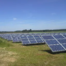 Rozległa farma fotowoltaiczna z rzędami paneli słonecznych na trawiastym terenie pod błękitnym niebem. Widoczne ogrodzenie i drzewa w tle.