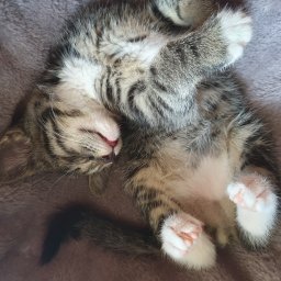 Dom Rem-Bud - Zabudowa Biura Gorzów Wielkopolski