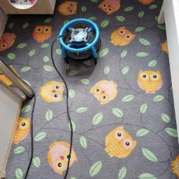 Suszarka do dywanów na wzorzystej wykładzinie z motywem sów i liści, widoczne kable i fragment mebla.