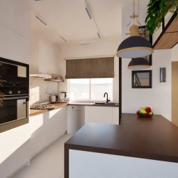 AMZ PROJEKT - Wizualizacja nowoczesnej kuchni z białymi szafkami, drewnianym blatem, czarnymi akcentami i dekoracyjnymi trawami w wazonie.