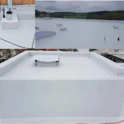 Biały, płaski dach budynku przemysłowego po renowacji, widoczne detale wykończenia, komin i elementy wentylacji, zarys lasu w tle.