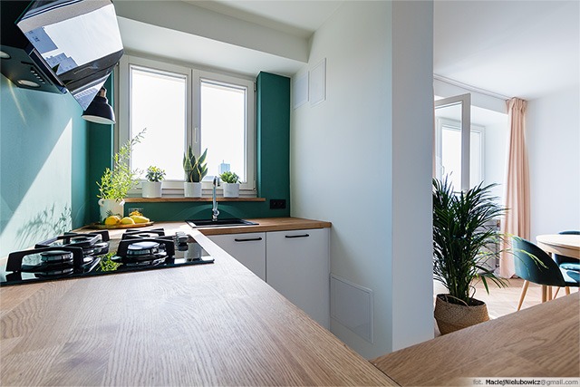 Nowoczesna kuchnia z drewnianym blatem, czarną płytą grzewczą i zlewozmywakiem, zielonym akcentem na ścianie oraz roślinami w doniczkach na parapecie okna.