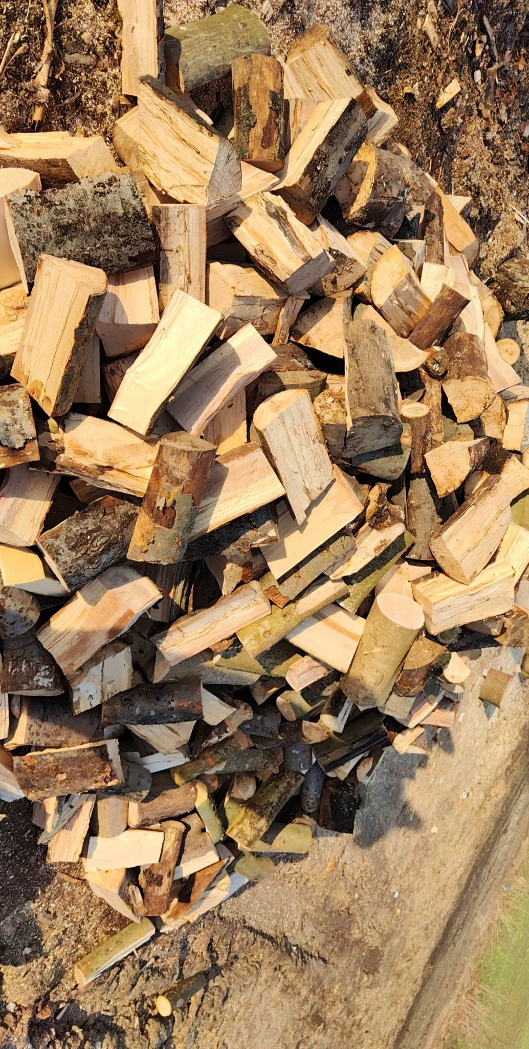 Stos porąbanego drewna opałowego z widocznymi fragmentami kory, ułożony na ziemi z widocznymi śladami pojazdów i resztkami trocin.
