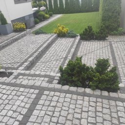 Kamienie-Kraków Irena Sałgut