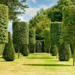 projektowanie i zakładanie ogrod&oacute;w, drenaże, nawodnienie pielęgnacja ogrod&oacute;w