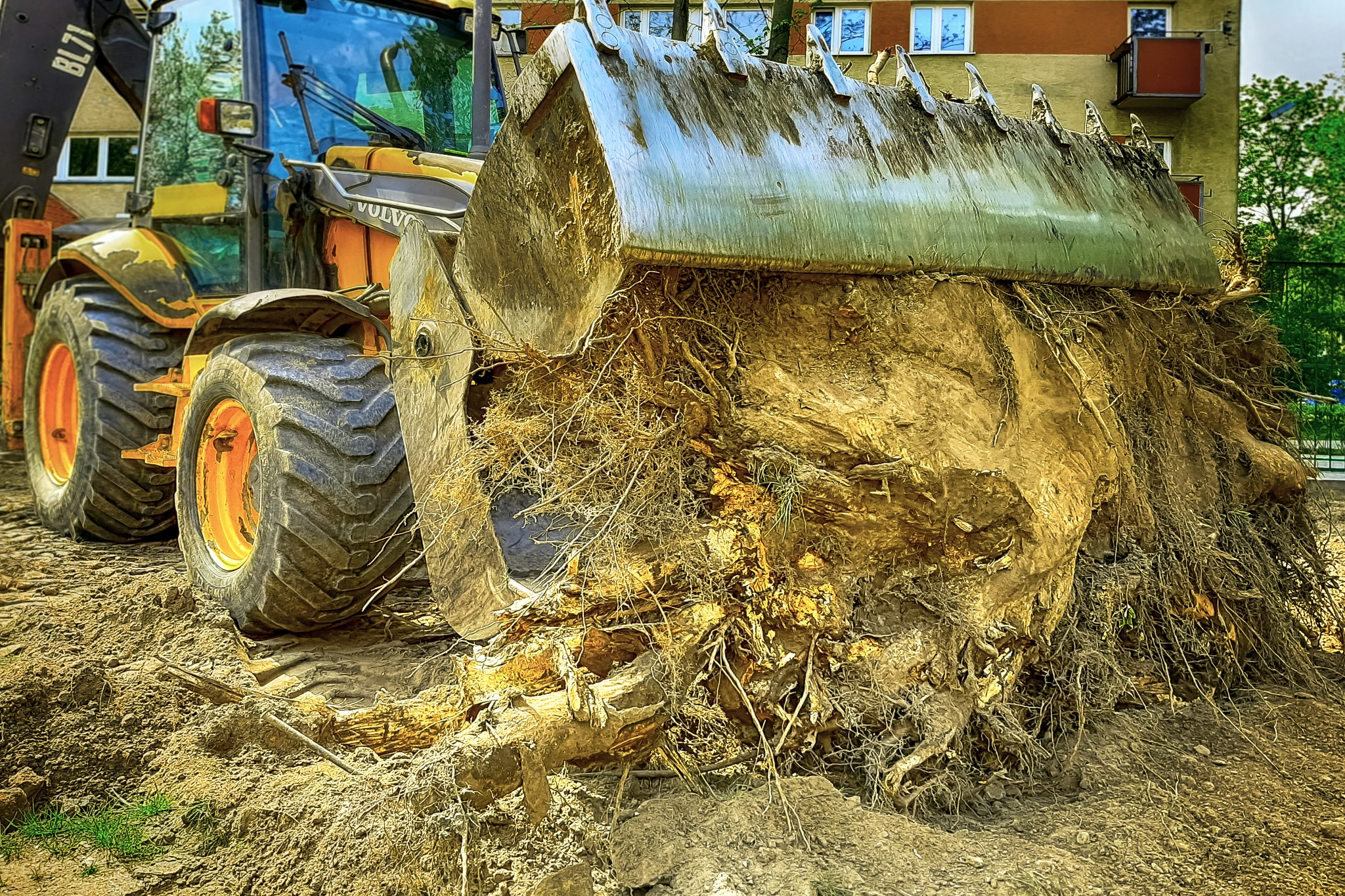 czyszczenie terenu, usuwanie, frezowanie karp