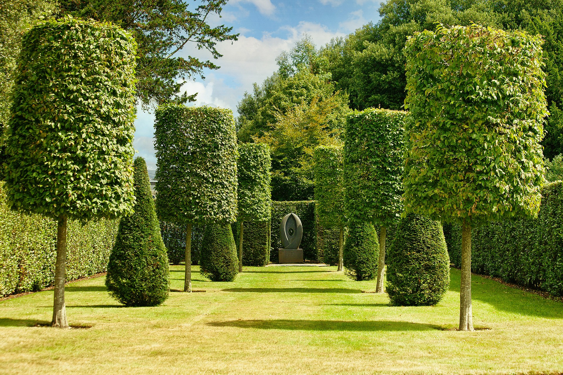 projektowanie i zakładanie ogrodów, drenaże, nawodnienie pielęgnacja ogrodów