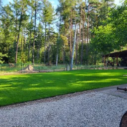 Świeżo skoszony trawnik z rolki w ogrodzie, widok z kamiennej ścieżki w kierunku lasu i zadaszonej wiaty z pojazdami.