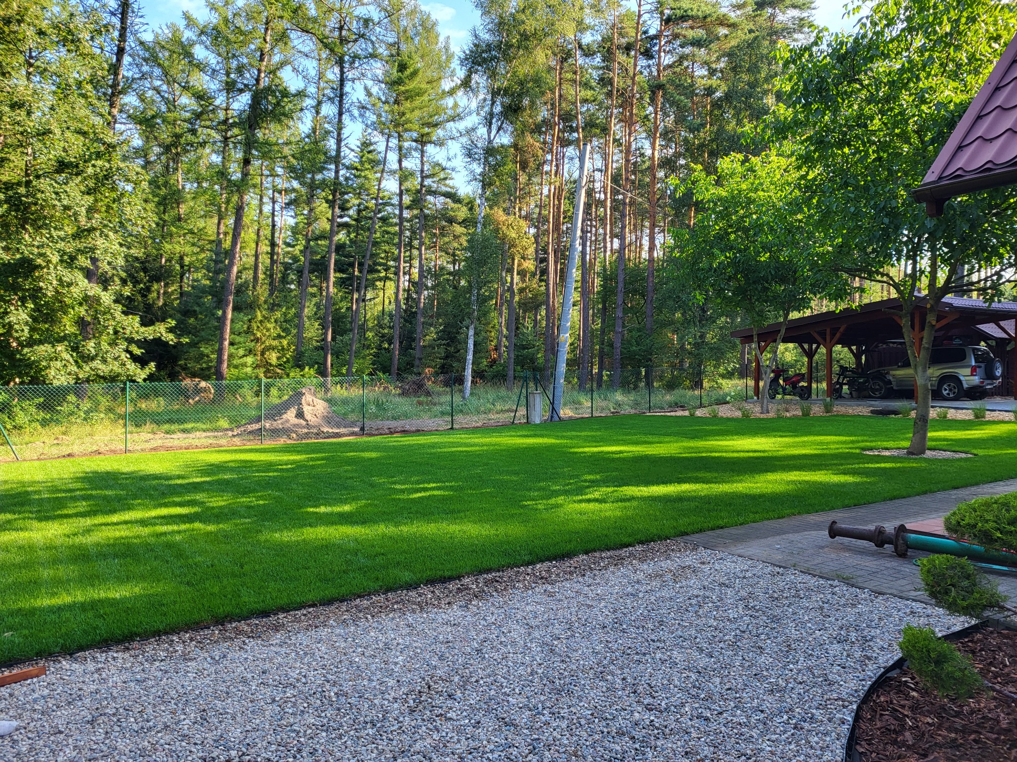 Świeżo skoszony trawnik z rolki w ogrodzie, widok z kamiennej ścieżki w kierunku lasu i zadaszonej wiaty z pojazdami.