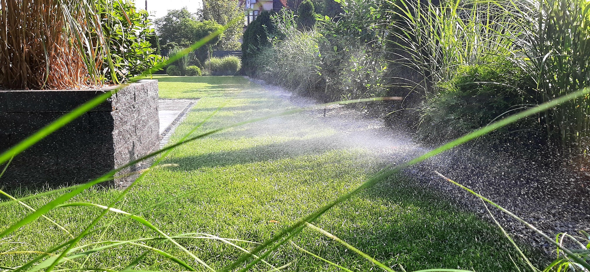 Automatyczny zraszacz nawadnia równomiernie trawnik, w tle zadbany ogród z ozdobnymi krzewami i drzewami.