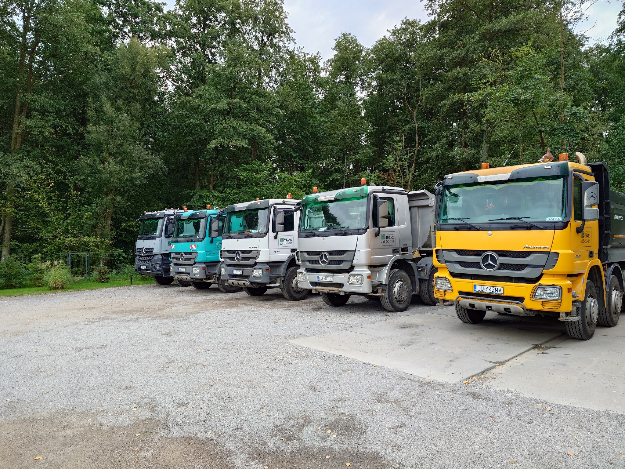 Szereg ciężarówek Mercedes-Benz Actros w różnych kolorach, zaparkowanych na żwirowym placu z zielonym tłem drzew. Widoczne detale pojazdów, tablice rejestracyjne i logotypy.