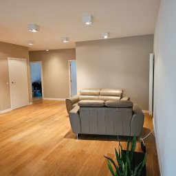 Dom-Jura - Jasne wnętrze po remoncie: parkiet, sofa i minimalistyczne oświetlenie sufitowe. Widoczne gładkie ściany i drzwi. Nowoczesny design.