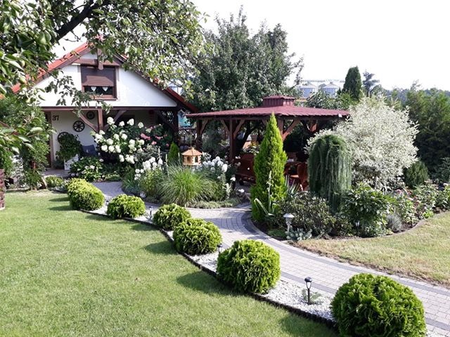 Urokliwy ogród w Jarocinie z altaną, ścieżką z kostki brukowej obramowaną kulistymi krzewami, zadbany trawnik i różnorodne rośliny ozdobne, widoczne z perspektywy trawnika.