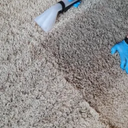 Fragment beżowego dywanu shaggy, w trakcie czyszczenia; widoczna różnica między wyczyszczoną a zabrudzoną częścią, ręka w niebieskiej rękawicy trzyma ssawkę odkurzacza piorącego.