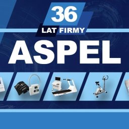 Aspel S.A. - Usługi Programistyczne Zabierz&oacute;w