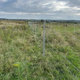 Długa, nowa siatka ogrodzeniowa z metalowymi słupkami, oddzielająca zarośnięty teren. W tle widoczny krajobraz z zabudowaniami i pochmurne niebo.