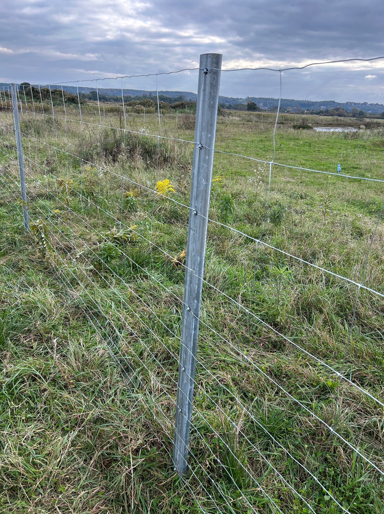 Metalowy słupek i rozciągnięta siatka ogrodzeniowa na łące pod pochmurnym niebem, widok z bliska na zamontowane ogrodzenie z widocznym krajobrazem w tle.