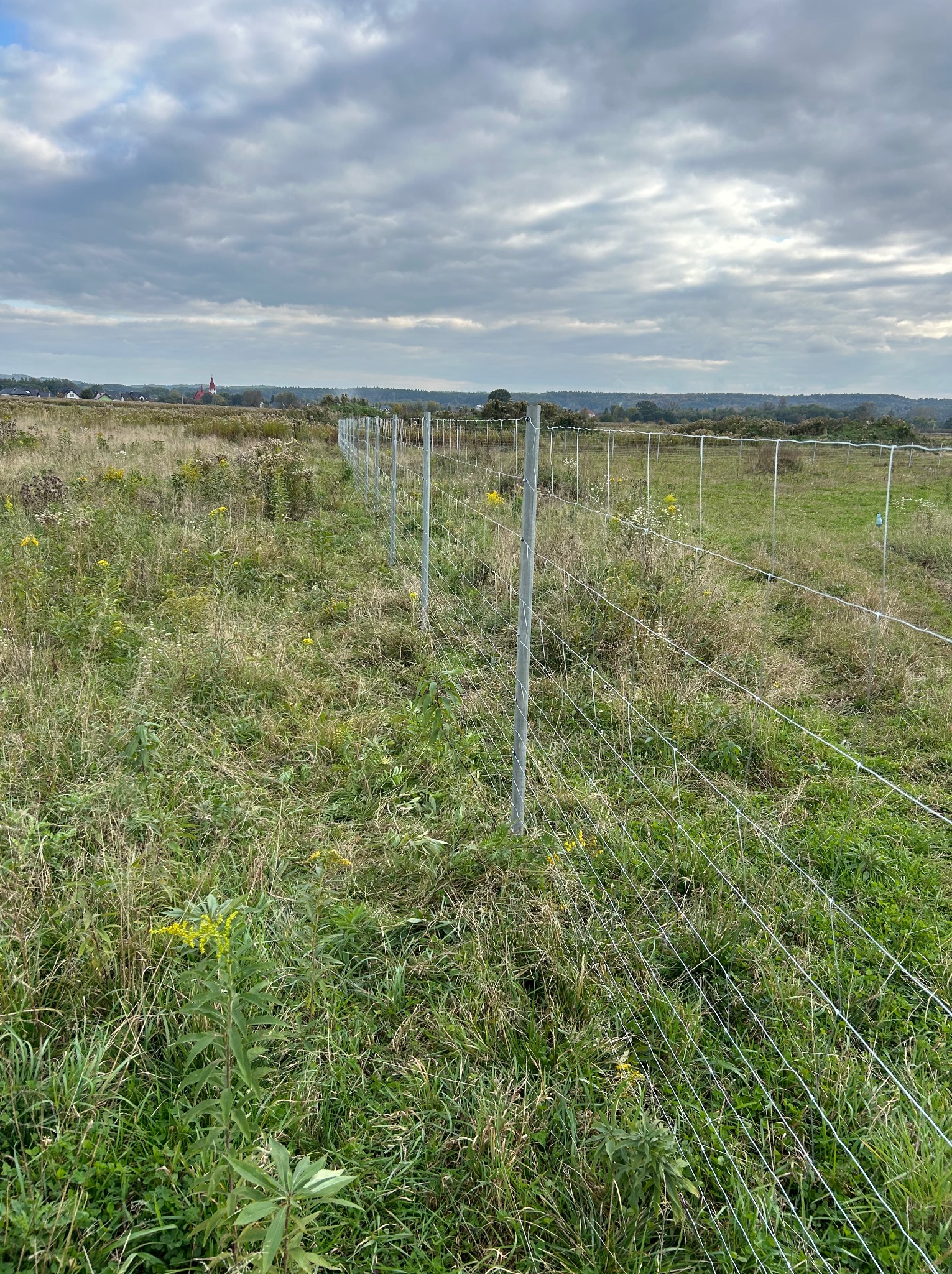 Długa, nowa siatka ogrodzeniowa z metalowymi słupkami, oddzielająca zarośnięty teren. W tle widoczny krajobraz z zabudowaniami i pochmurne niebo.