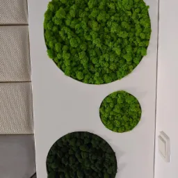 Dekoracja ścienna z mchu w trzech okrągłych, białych ramach o różnej wielkości, umieszczona na białej ścianie obok tapicerowanego panelu ściennego.