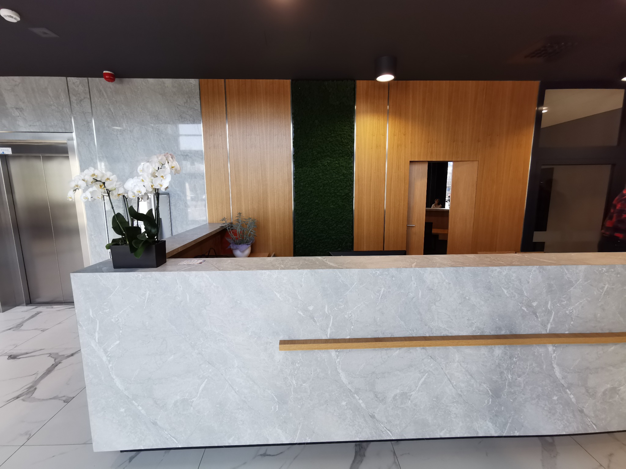 Recepcja z blatem z szarego marmuru, drewnianymi panelami na ścianie, zieloną ścianą z mchu i białymi storczykami w czarnej donicy.