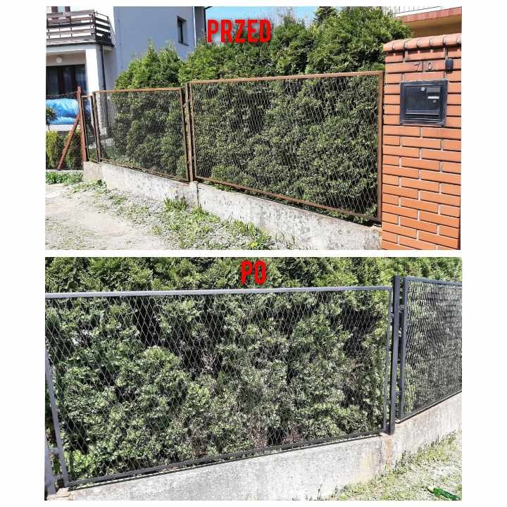 Porównanie stanu ogrodzenia przed i po renowacji: zardzewiała, stara siatka kontra odnowiona, pomalowana na szaro, na tle zielonych tuj.
