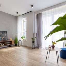Properton - Jasne, nowoczesne wnętrze z drewnianą podłogą, szarą ścianą akcentową, niską szafką RTV z dekoracjami, okrągłym stolikiem kawowym i rośliną Monstera w pierwszym planie.