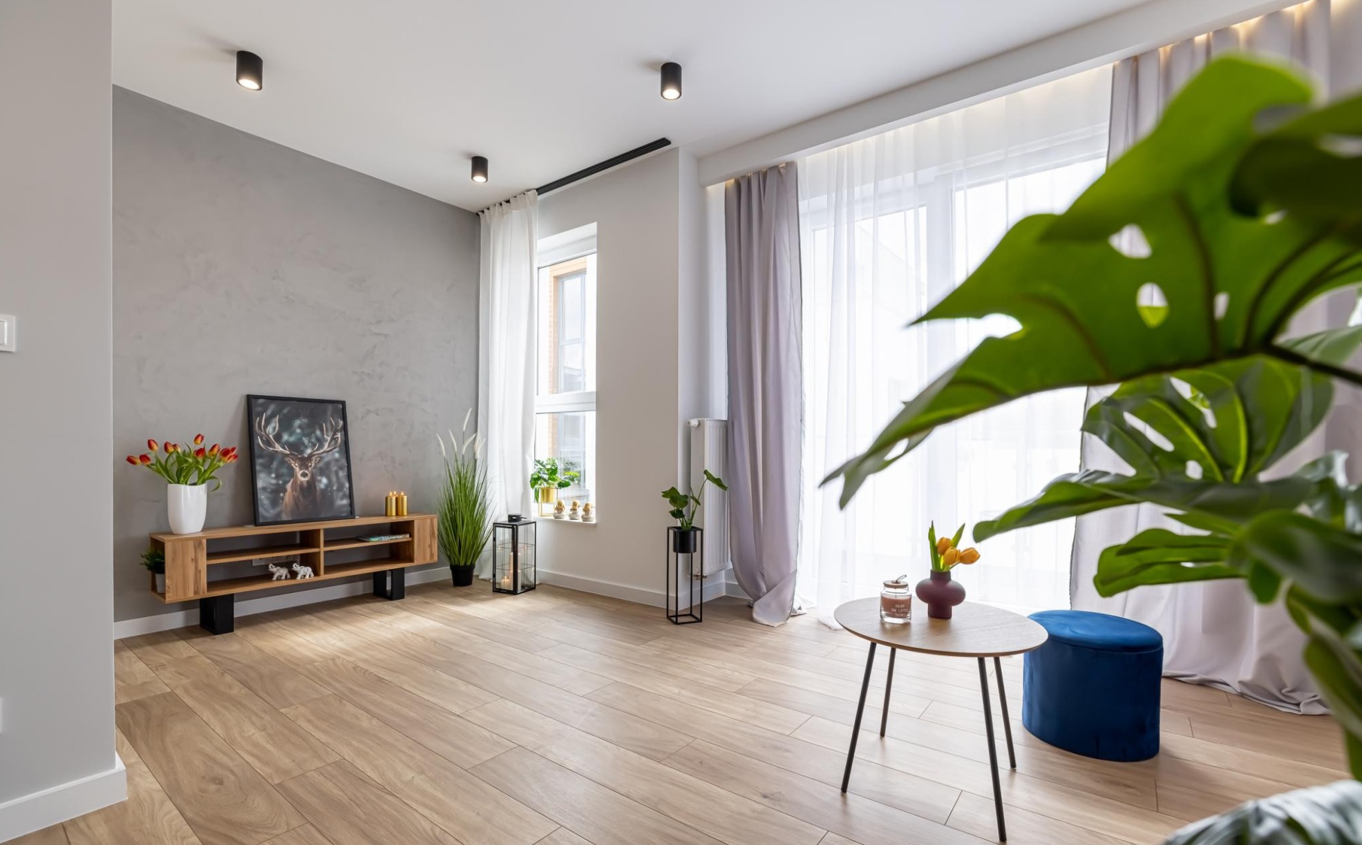 Jasne, nowoczesne wnętrze z drewnianą podłogą, szarą ścianą akcentową, niską szafką RTV z dekoracjami, okrągłym stolikiem kawowym i rośliną Monstera w pierwszym planie.